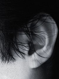 Close-up of object over white background