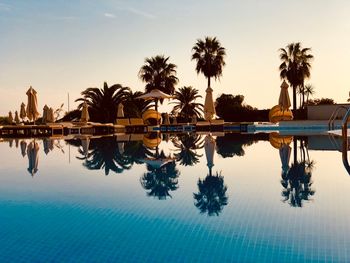 Reflection of trees in swimming pool against sky