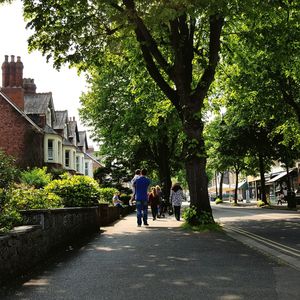 Rear view of people walking on road along trees