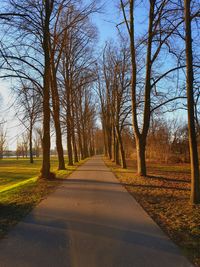 Empty road along bare trees