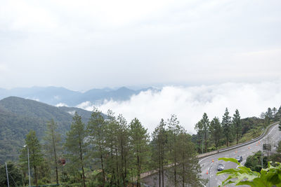 Panoramic view of trees and mountains against sky