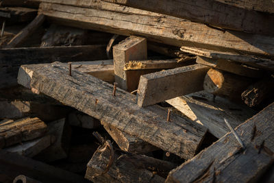 High angle view of logs in forest