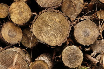 Full frame shot of firewood