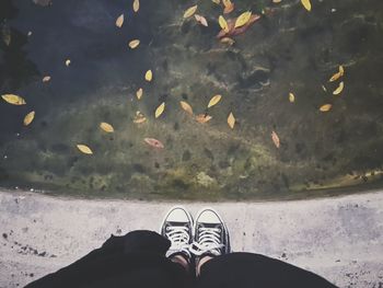 Low section of person standing by pond in park