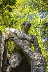 Statue of tree in park