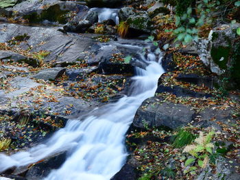 View of waterfall in forest