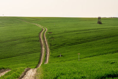 Scenic view of agricultural field against sky