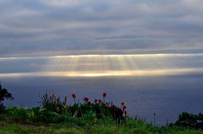 Scenic view of landscape against cloudy sky