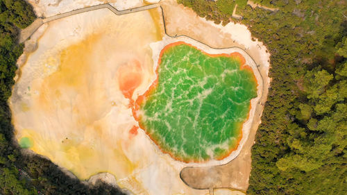 Wai-o-tapu from auckland