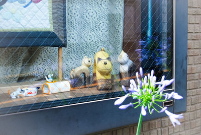 Potted plant by window against building