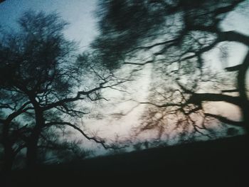 Low angle view of bare trees against sky