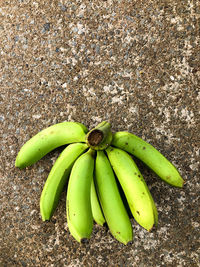 High angle view of bananas on field