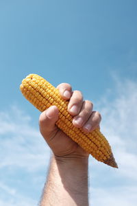 Close-up of cropped hand holding plant