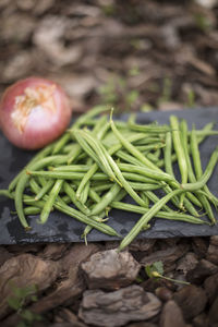 High angle view of vegetables on plant