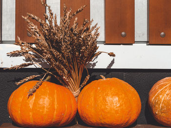 Close-up of orange pumpkins