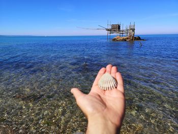 Cropped hand of woman holding seashell against sea and sky