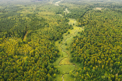 Top view of the valley of a meandering river among green fields and forests