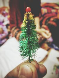 Close-up of hand holding christmas tree