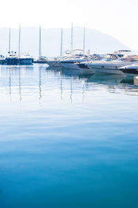 Sailboats moored in harbor