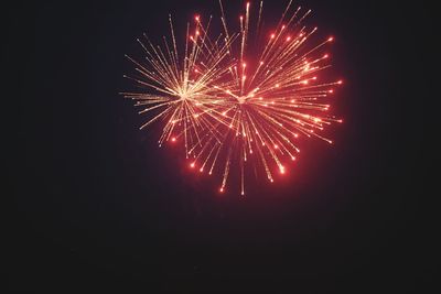 Low angle view of firework display at night