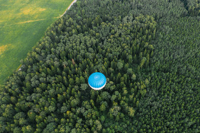 Flying hot air balloon over the green forest.