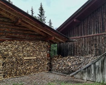 Stack of logs against trees