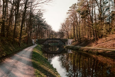 Bridge over canal amidst trees in forest