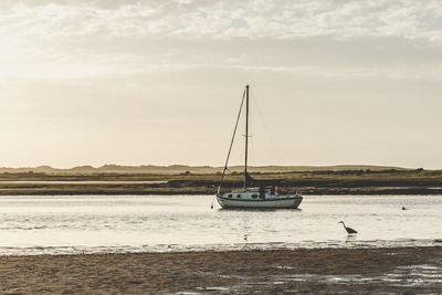 Sailboats moored on beach against sky