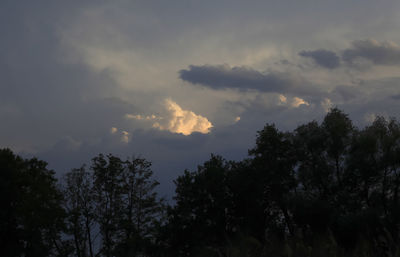 Low angle view of silhouette trees against sky at sunset