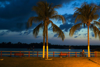 Palm trees on beach against sky at night