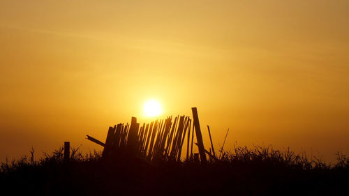 Silhouette plants on field against orange sky