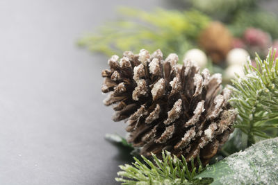 Close-up pine cone. christmas background with copy space 