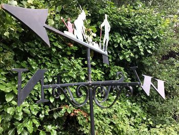 Close-up of railing against plants