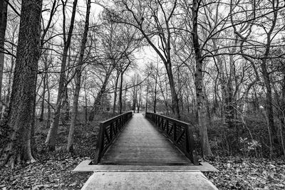 Empty footbridge amidst trees in forest