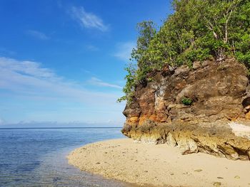 Close-up of tree on beach against sky