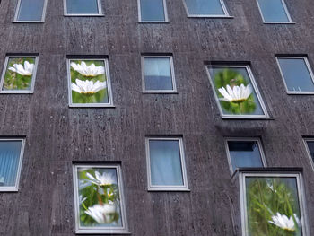 window