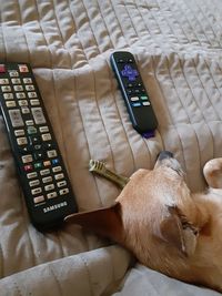 remote control