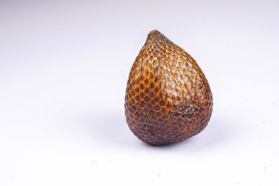 Close-up of seashell against white background