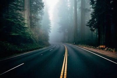 Road passing through forest