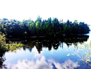 Reflection of trees in lake against clear sky