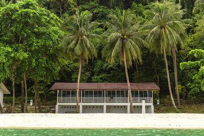 Built structure and trees by plants