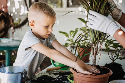 Spring houseplant care, repotting houseplants. happy little kid boy planting houseplants in pots