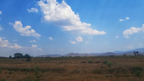 Scenic view of field against sky