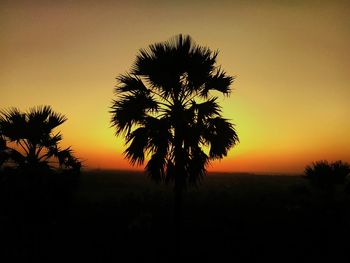 Silhouette of trees at sunset