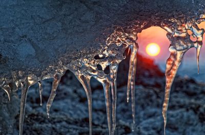 Close-up of icicles in illuminated during winter