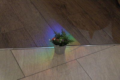 High angle view of potted plant on table