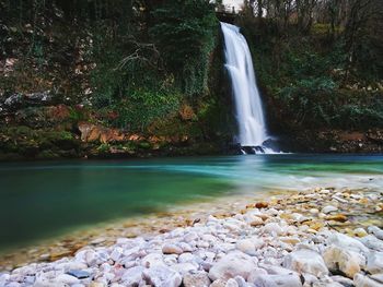 View of waterfall in forest