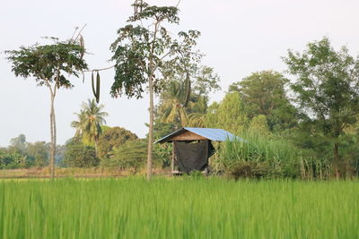 Built structure on field against sky