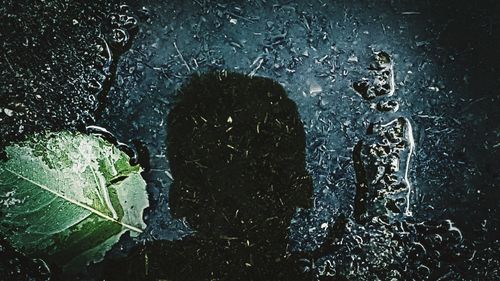 Close-up of water drops on glass