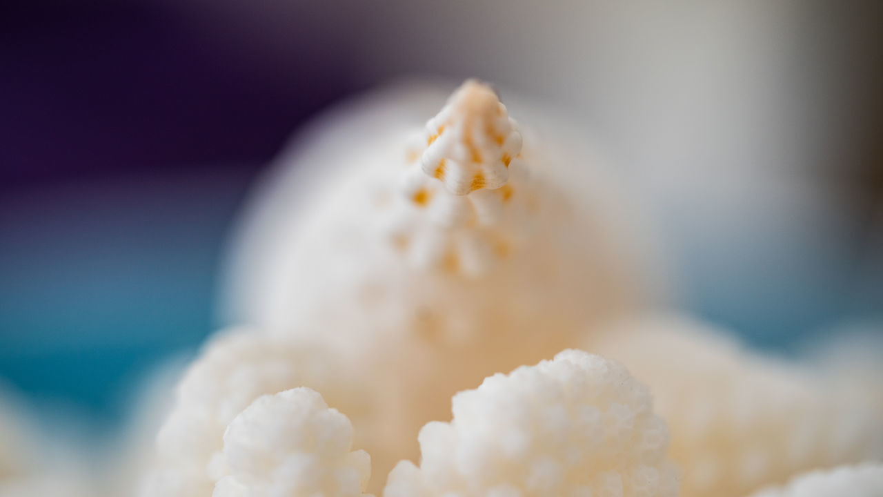 CLOSE-UP OF ICE CREAM CONE ON FLOOR